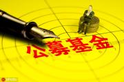 如何看待基金的市场表现与管理能力？