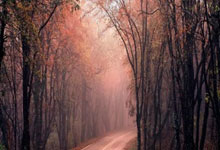 华尔街密集发报告：美国就业市场正在放缓