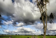 安徽省财政厅：持续放大国有“三资”价值 促进“三资”在更大范围内优化组合和高效流动