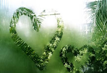 张家港市金港成康木材加工厂（个体工商户）成立 注册资本5万人民币