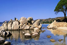 雷神技术创1975年采用联合技术公司名称以来新高